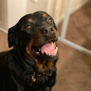 Meet your Posher, Joseph